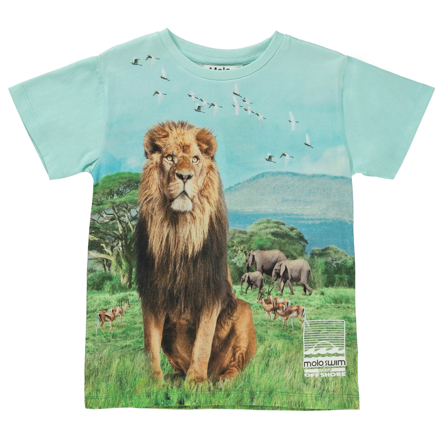Molo Kurzarm T-Shirt Raul